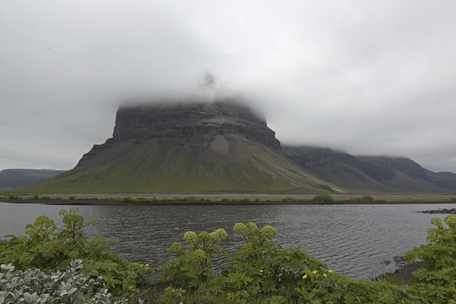 2011-07-06_15-20-14 island.jpg - Im Vodergrund Engelswurz - Angelica archangelica -, dazu Bergkulisse